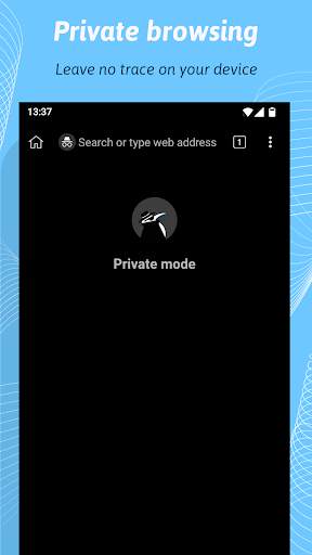Kiwi Browser - Navigateur screenshot 7