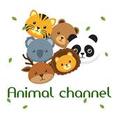 Animal channel 1.0