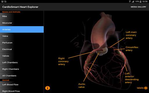 CardioSmart Heart Explorer screenshot 9