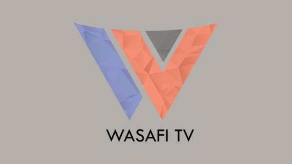 Wasafi TV screenshot 1
