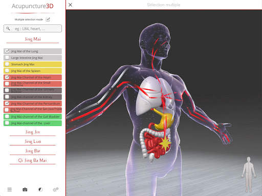 Acupuncture 3D screenshot 1