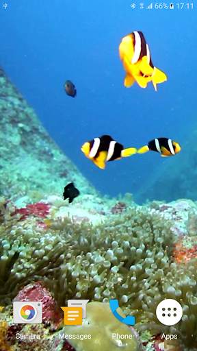 Colorful Fishes Live Wallpaper 4 تصوير الشاشة
