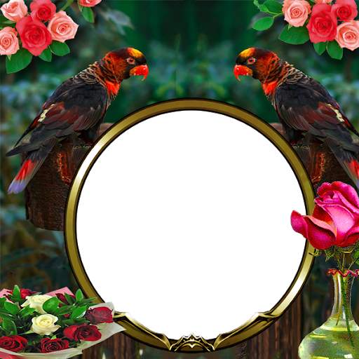 Dusky Lory Insta DP 2 تصوير الشاشة