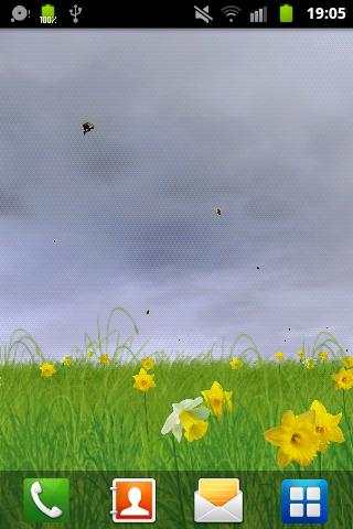 Daffodils Free Live Wallpaper screenshot 7