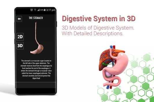 Human digestive system anatomy in 3D screenshot 3