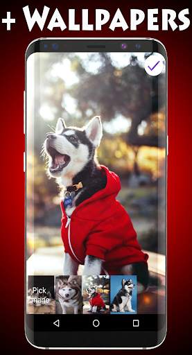Husky Lock Screen screenshot 3