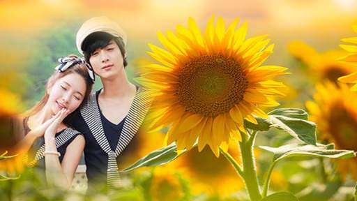 sunflower photo frames costume montage editor screenshot 8