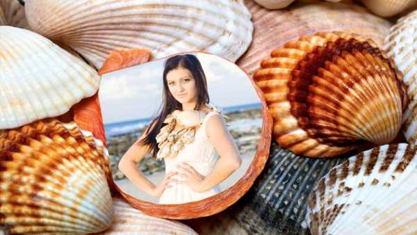 Seashells Photo Frames screenshot 6