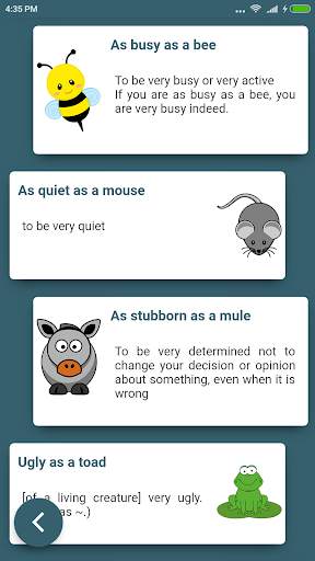 English Idioms In Use скриншот 5