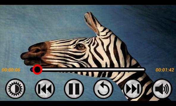 MP4/3GP HD Video Player screenshot 4