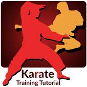 Karate Training 1.20