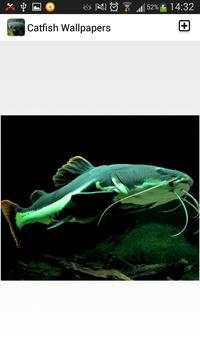 Catfish Wallpapers screenshot 2