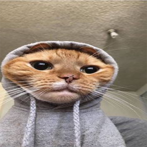 cartoon cat 2021 icon