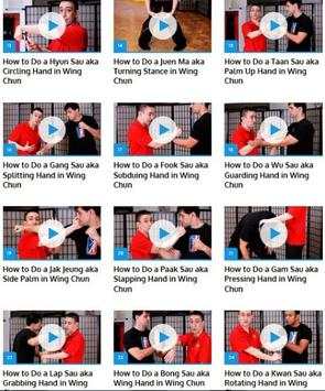Wing Chun screenshot 2