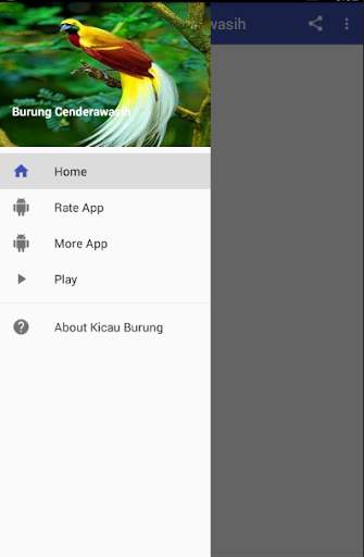 Kicau Burung Cenderawasih screenshot 1