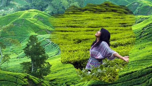 Green Hill Picture Frames screenshot 8