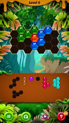 Express Pro Hexa Puzzle Fill screenshot 8