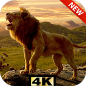 Lion King Of The Forest HD Lock Screen icon