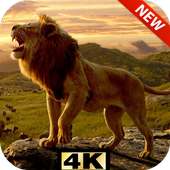 Lion King Of The Forest HD Lock Screen logo