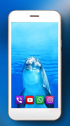 Dolphins Frendly Live Wallpaper screenshot 5