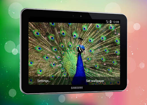 New Peacock Live Wallpaper screenshot 6
