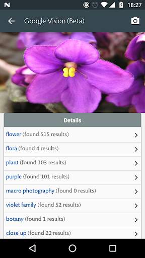 Flower Song screenshot 5