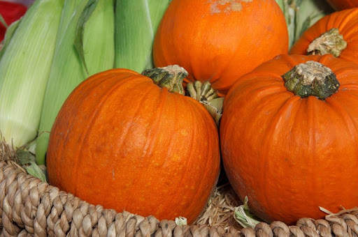 Thanksgiving Wallpapers Free screenshot 5