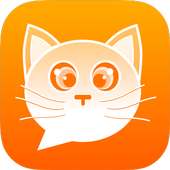Cat Chat Room