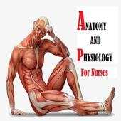 Anatomy and physiology 3.0