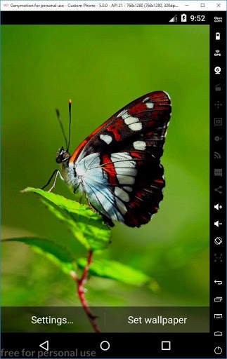 Ladybug 3D Live Wallpaper 11 تصوير الشاشة