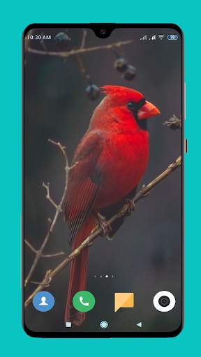 Red Wallpaper HD screenshot 5