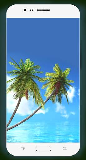Palm Tree Wallpaper screenshot 13
