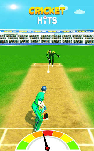 Cricket Hits screenshot 1
