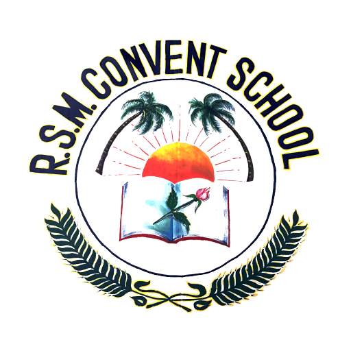 RSM School 2.15.3