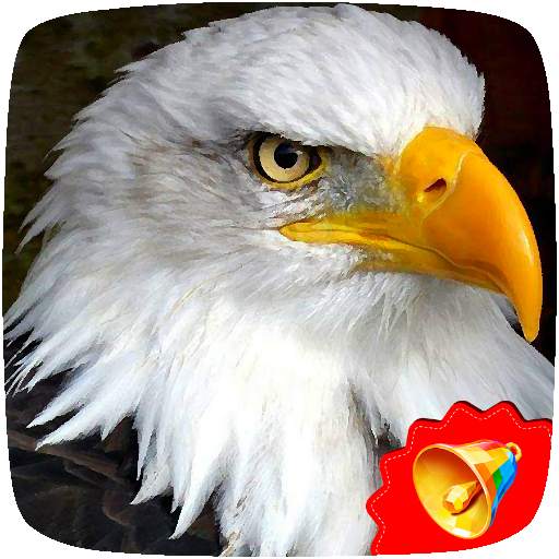 Eagle Sounds 1.0