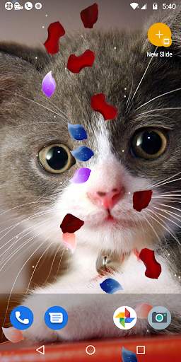 Water Touch - Cute Cat Live Wallpaper screenshot 6