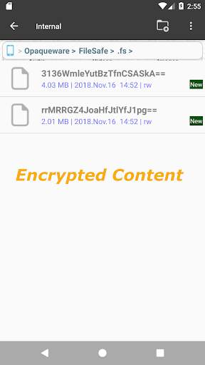 FS File Manager / File Safe screenshot 3