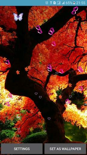 Autumn Live Wallpaper screenshot 3