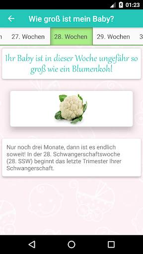 Schwangerschafts screenshot 2