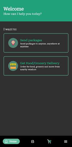 GTA Delivery screenshot 1
