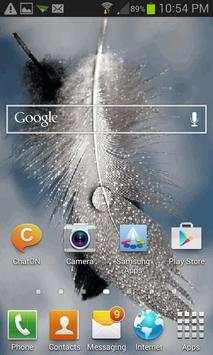 Bird Feather Live Wallpaper screenshot 3