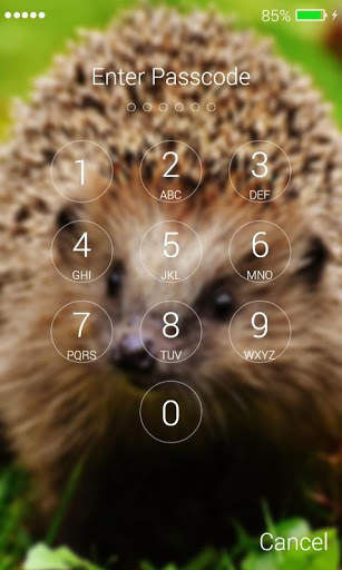 Hedgehog Lock Screen screenshot 6