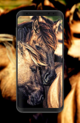 Horse Wallpaper HD Offline screenshot 6