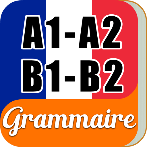 Learn French Beginner Grammar icon