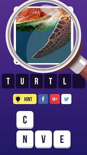 Zoom Pic: Close Up Picture Quiz 2021 скриншот 3