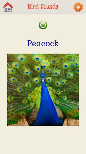Bird Sounds screenshot 6