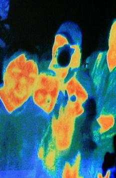 Thermal Camera Simulator screenshot 5