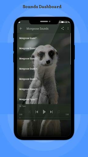 Mongoose Sounds screenshot 2
