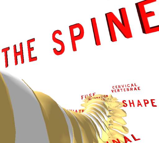 Spine 3D screenshot 4