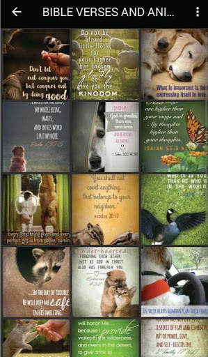 Bible Quote Wallpapers screenshot 4